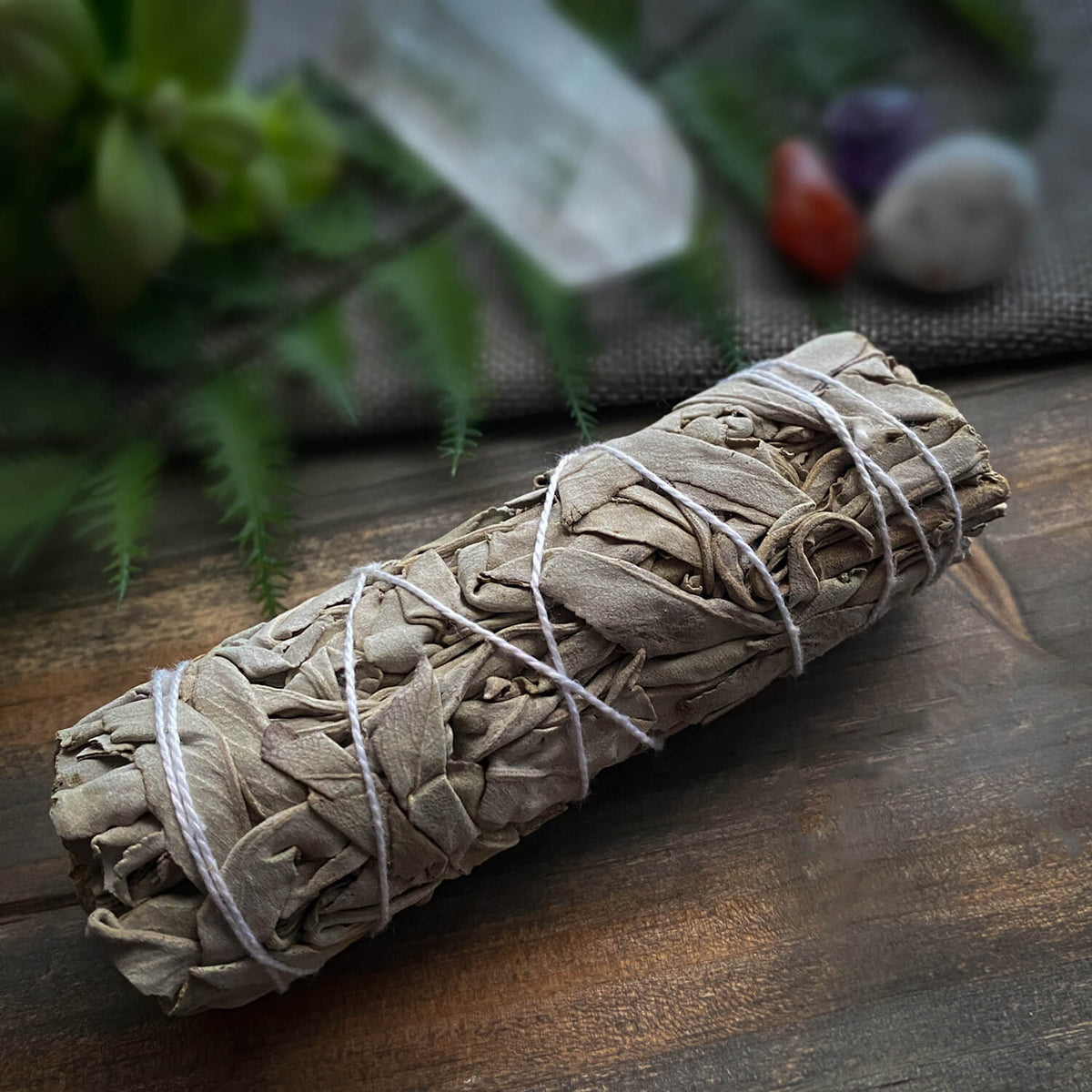 White Sage (Salvia Apiana) Smudge Bundle